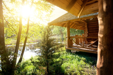 cabane-foret